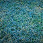 Japanese Matting