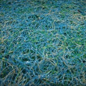 Japanese-Matting.jpg Japanese Matting