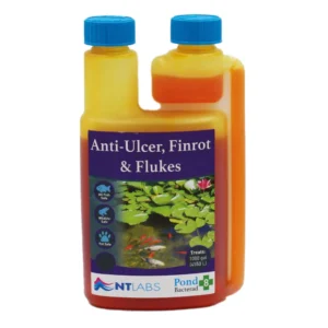 NT-Labs-Anti-Ulcer-Finrot-Flukes.webp NT LABS ANTI ULCER, FIN ROT & FLUKE