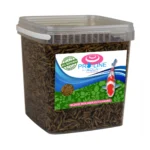 PRO LINE AQUA BSF BLACK SOLDIER FLY LARVAE