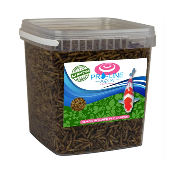 PRO LINE AQUA BSF BLACK SOLDIER FLY LARVAE