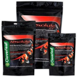 Cloverleaf Absolute CT Anti Bacterial