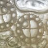 evolution-aqua-k-plus-matured.jpg Evolution Aqua K Plus Advanced