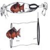 KOI HANDLING TRANSFERRING SOCKS