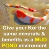 Mr Koizumi Clay 86 | Ultra-Fine Montmorillonite Pond Clay