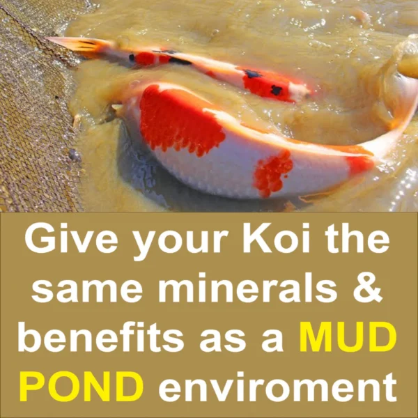 Mr Koizumi Clay 86 | Ultra-Fine Montmorillonite Pond Clay