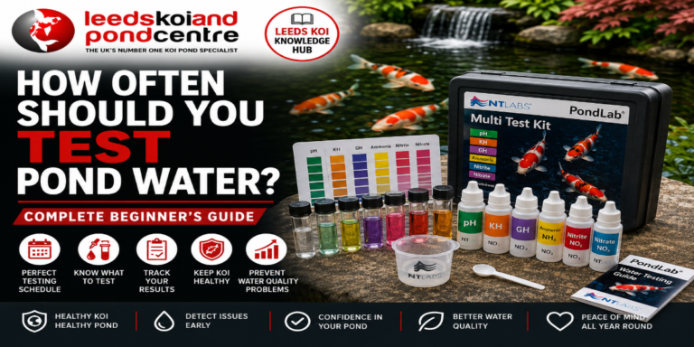 How Often Should You Test Pond Water? Complete Beginner's Guide by Leeds Koi showing NT Labs pond water test kit for regular koi pond water testing.
