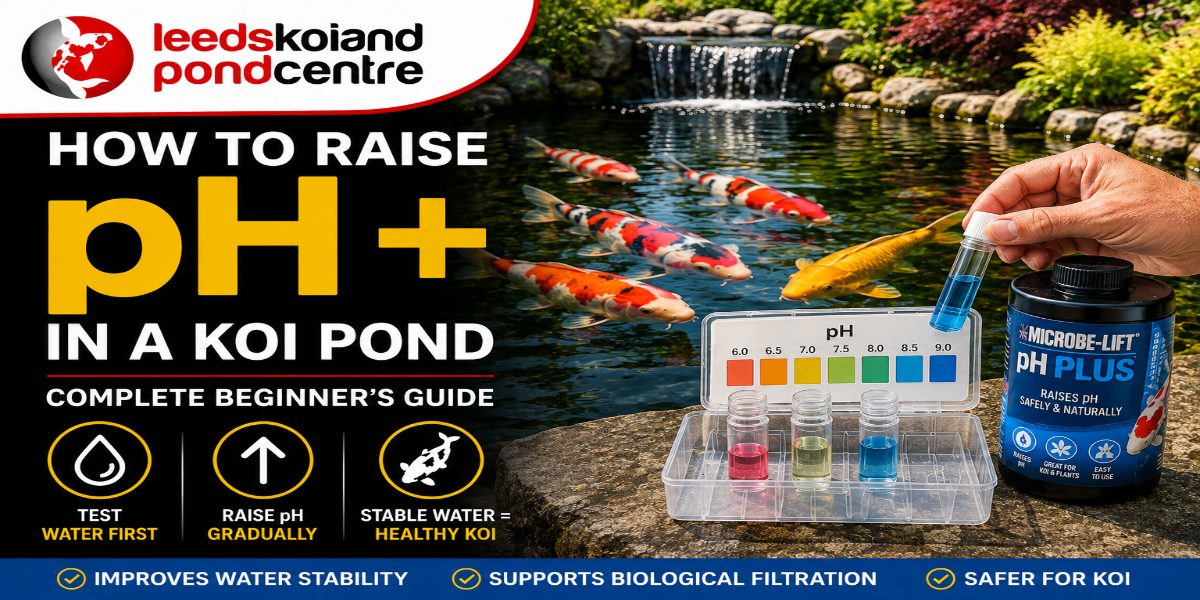 How to raise pH in a koi pond safely using Microbe-Lift pH Plus